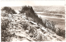 Cadzand (verstuurd Uit) - Duinen - Cadzand