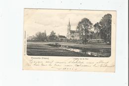 PLEUMARTIN (VIENNE) L'EGLISE VUE DU PARC 1903 - Pleumartin