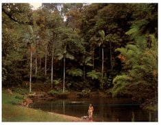 (507) Australia -QLD - Rawson Pool - Atherton Tablelands