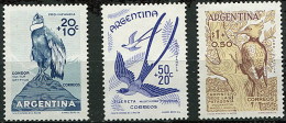 Argentina 0613/615 ** Foto Estandar. 1960 - Unused Stamps