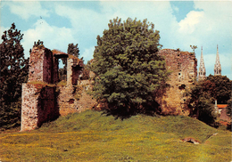 ¤¤  -  13  -  MACHECOUL  -  Le Chateau De Barbe-Bleue  -  ¤¤ - Machecoul