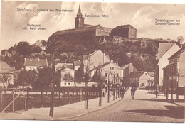 5200 SIEGBURG, Mühlenstrasse, Blick Auf Die Südseite Des Michaelsberg, 1920 - Siegburg