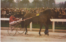 CPM  9X14. Hippisme . André FAURE Et Cheval QUASIPYL N° 10. Au Dos: Calendrier Courses 04/1967 +Pub Vins POSTILLON - Hípica