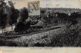 CPA 95   LOUVRES PANORAMA  1906 - Louvres