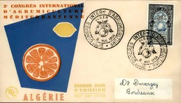 ALGERIE - Période Française - Détaillons Collection De FDC Des Années 50 - 60 - P21011 - FDC