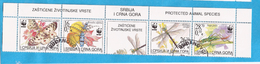 2004  317376  WWF INSETTI FARFALLE JUGOSLAVIJA JUGOSLAWIEN SRBIJA SERBIEN CRNA GORA MONTENEGRO USED - Usados