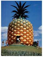 (502) Australia - QLD - Big Pineapple - Sunshine Coast