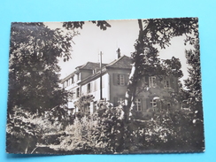 LINDENBÜHL Arbeiter-Hilfswerk-Ferienheim TROGEN () Anno 1954 ( Zie Foto Voor Details ) !! - Trogen