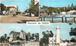 SOUVENIR DE SAIDA CARTE MULTIVUES - Saida