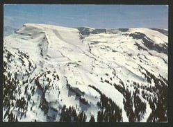 GAMSALP SG Gamserrugg Obertoggenburg Flugaufnahme Wildhaus 1971 - Gams