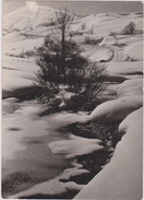 73,savoie,VALLOIRES,prés De Saint Michel De Maurienne,col Du Galibier,modane,carte Photo Léger - Saint Michel De Maurienne