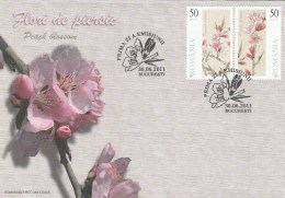 PEACH BLOSSOM FLOWERS 2011 COVER FDC, ROMANIA. - FDC