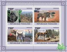 Togo 2011, Deforestation, Gorilla, Zebra, Felins, 4val In BF - Gorilla