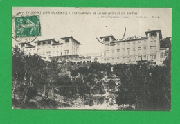 CPA FRANCE HYERES LE MONT DES OISEAUX Vue Génerale Et Grand Hotel Et Jardins - Hyeres