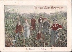CHROMO GRAND FORMAT CACAO VAN HOUTEN  EN CHARENTE LA VENDANGE - Van Houten
