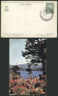 4c. Brown Postal Card With View Printed On Back: Nahuel Huapí National Park (lake, Flowers, Trees,... - Postwaardestukken