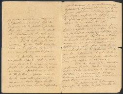 Long Letter Hand-written By Bartolomé Mitre On 25/SE/1891 And Addressed To Minister Avellaneda, About... - Andere & Zonder Classificatie
