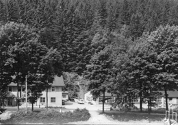 SCHMIEDEBERG - Betriebspionierlager Pôbeltal Des VEB Waggonbau Dessau - Schmiedeberg (Erzgeb.)