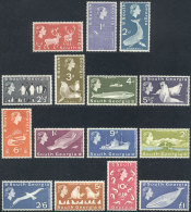 Sc.1/15, 1963 Marine Fauna, Complete Set Of 15 Values, Unmounted, Excellent Quality, Catalog Value US$254. - Falkland Islands