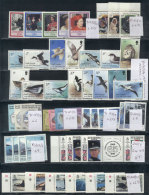 DEPENDENCIES: Lot Of Modern Stamps And Sets On 2 Stock Pages, All MNH And Of Excellent Quality, Classified With... - Falkland