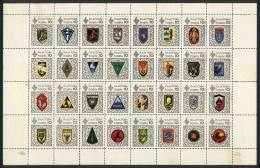 COATS OF ARMS: Sheet Of 32 Cinderellas, Excellent Quality, Very Nice! - Ukraine