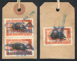 Parcel Tag Of A Piece Sent To Buenos Aires On 1/MAR/1973 By Private Post Oca Internacional, Franked $300 (Sc.C365... - Uruguay