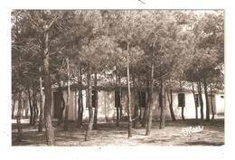 CPA 40 BISCARROSSE Colonie CCOS Bâtiment Dans Des Arbres 1956 - Biscarrosse