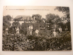 89- YONNE- SAINT SAUVEUR EN PUISAYE- Les Chevaux De Bois (vivant) De La Bruyère - Saint Sauveur En Puisaye