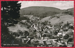 AK Bad Grund (Harz) ~ Um 1960 - Bad Grund