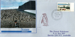 Wilkins Runway (aerodrome) & Adèlie Penguin Colonies , Letter From Davis Station 1985, Addressed To Australia - Covers & Documents