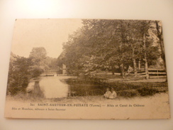 89- YONNE- SAINT SAUVEUR EN PUISAYE- Allée Et Canal Du Château - Saint Sauveur En Puisaye