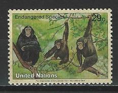 Uno New York Mi 663 **  Pan Troglodytes - Chimpansees