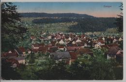 Zunzgen - Generalansicht - Photo: Metz - Sonstige & Ohne Zuordnung