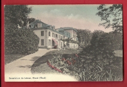 PRI-04  Gland Sanatorium Du Léman. Circulé En 1919 - Gland