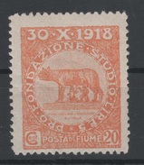 1919 Fiume Occupazione Plebiscito 20 C. Arancio MNH - Fiume & Kupa