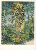 Tiger , Panthera Tigris - Endangered Species - Illustration By V. Gorbatov - 1990 - Russia USSR - Unused - Tigres