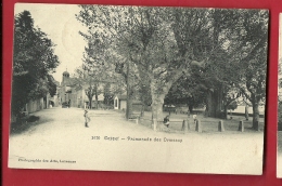 PRL-04 Coppet  Promenade Des Ormeaux . Enfants, Attelage. Cachet 1907 - Coppet