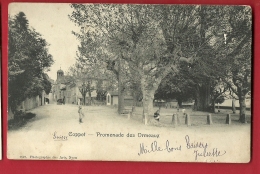 PRL-22  Coppet Promenade Des Ormeaux, Enfants. Précurseur. Circulé - Coppet