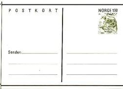 Norwegen / Norway - Postkarte Ungebraucht / Postcard Mint (r324) - Postal Stationery