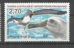 TAAF ANTARTIDA POLO SUR ALBATROS AVE PAJARO BIRD - Antarctic Wildlife