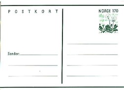 Norwegen / Norway - Postkarte  Ungebraucht / Postcard Mint (r326) - Postal Stationery