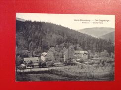 AK Wald-Bärenburg Ost-Erzgebirge Waldhaus Schäfermühle Stempel Kipsdorf 1931 - Kipsdorf