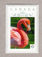 PINK FLAMINGO Personalized Postage Stamp MNH Canada 2017 [p17-01bd64] - Flamingo's