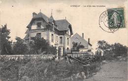 Vinneuf    89     Villa Des Violettes   ( Voir Scan) - Autres & Non Classés
