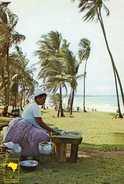 Bresil SALVADOR Jardim De Alla,Alla Garden - Salvador De Bahia