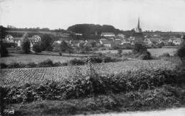 Saint  Aubin Cézy      89      L'Ecluse     (voir Scan) - Sonstige & Ohne Zuordnung