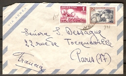 ARGENTINE   -   Lettre Pour La France.   Timbres  :   Coton  /  Fruits - Briefe U. Dokumente