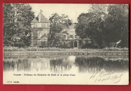 PRM-02 Coppet Château De Madame De Staël Et La Pièce D'eau. Cachet 1905 - Coppet