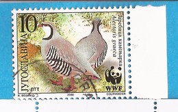 2000  2966-69 WWF  FAUNA BIRDS JUGOSLAVIJA JUGOSLAWIEN USED - Oblitérés