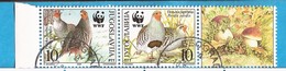 2000  2966-69 WWF  FAUNA BIRDS JUGOSLAVIJA JUGOSLAWIEN USED - Gebruikt